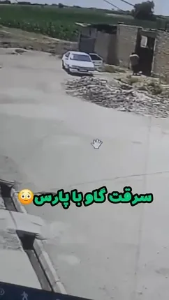 لحظه سرقت مسلحانه گاو و تعدادی گوسفند با پژو در دزفول!