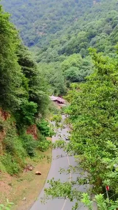 منظره ای دیدنی از جاده ماسوله