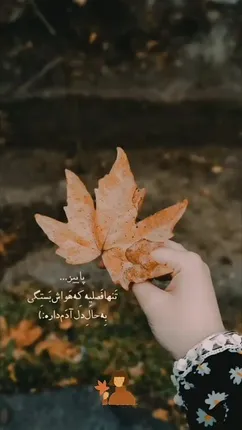 فال حافظ 30 آبان