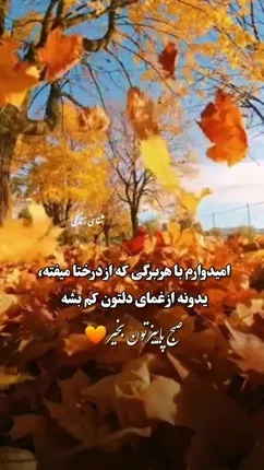 فال تاروت روزانه