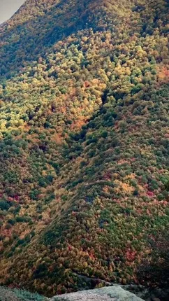 فیلم طبیعت گلستان، گرگان، روستای زیارت