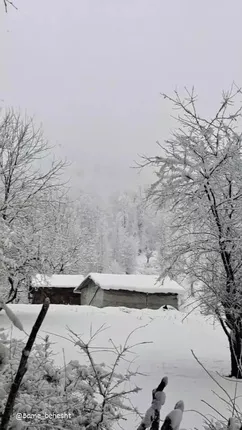 سفر به دامنه‌های جنوبی درفک بزرگ در گیلان