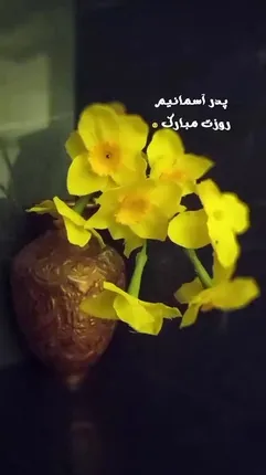 آهنگ بهنام بانی به مناسبت روز پدر برای پدران درگذشته