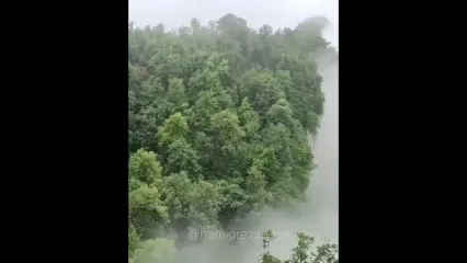 جنگل جهان نما منطقه ای بکر در جنوب کردکوی استان گلستان