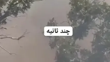 شدت آتش سوزی کوه های دهستان چله شهرستان گیلانغرب