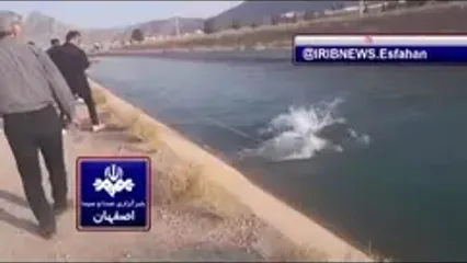 تلاش برای یافتن ۲ جوان غرق شده اهل شهر طاد (بخش پیربکران) در کانال آب کشاورزی همچنان ادامه دارد