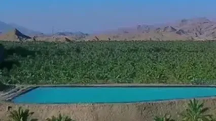 استان بوشهر ،نخلستان های کوهستانی رود فارایاب