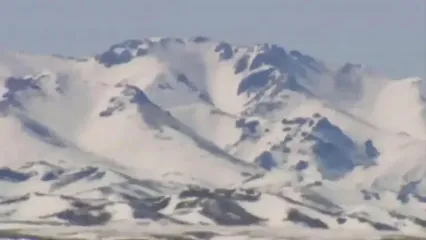 نگاهی به بزرگترین کارخانه فرآوری گوشت اسب در آمریکای جنوبی