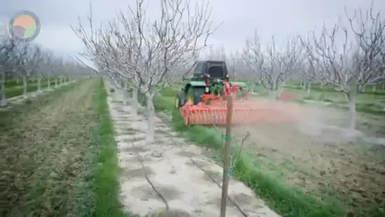 عملیات جالب کشت و برداشت پسته در مزارع کشورهای مختلف جهان