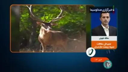 ورود به جنگل های مازندران ممنوع شد