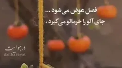 فال و طالع بینی 7 مهر ماه