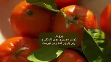 فال ابجد 13 مهر