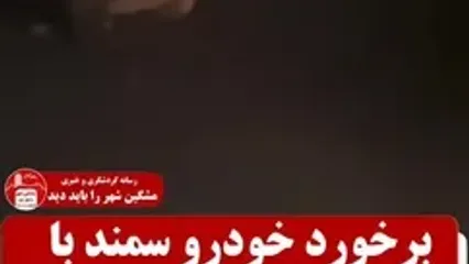 تصادف سمند با گراز در جاده مشکین‌شهر؛ وقوع حادثه و خسارت به خودرو