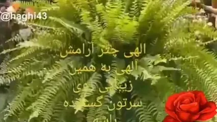 فال و طالع بینی 12 آبان