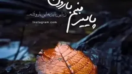 فال چای