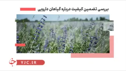 نکات ایمنی در مورد مصرف گیاهان دارویی