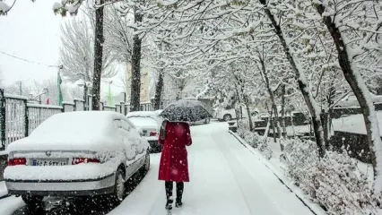 تصویری تماشایی از برف تهران که دل همه را برد