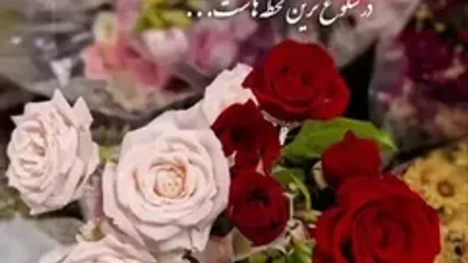 روز زن گرامی باد