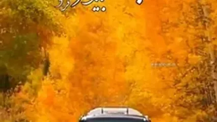 فال ابجد محشر 11 آذر