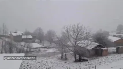 فیلم بارش برف در هزارجریب بهشهر