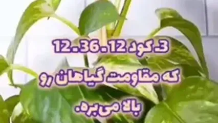 ۵ کود که در پاییز و زمستان باید برای گیاهان استفاده کرد