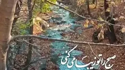 فال حافظ 28 دی