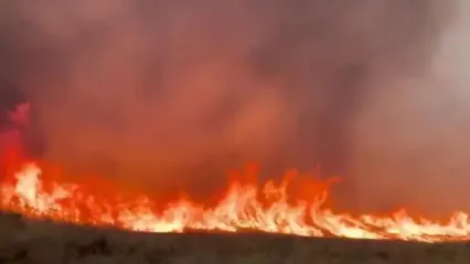 لس‌آنجلس در آتش می‌سوزد / موج جدیدی از آتش‌سوزی‌ها شهر را فرا گرفت