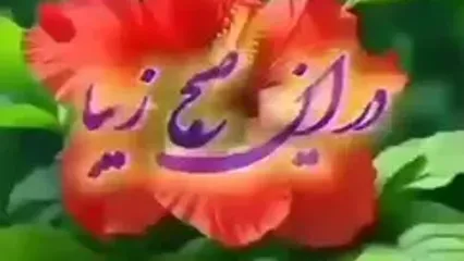 فال و طالع بینی روزانه 24 دی