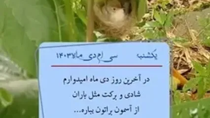 دعای مخصوص 30 دی 1403