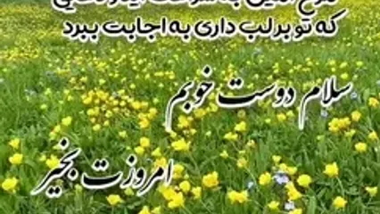 فال و طالع بینی روزانه 23 دی ماه