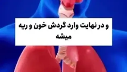 چرا نباید باد معده را نگه داشت؟