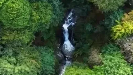 فیلم نمای دیدنی از آبشار ماهی مشو در روستای چهلستون لاهیجان