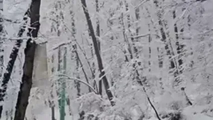 فیلم زیبایی زمستانی جاده دالخانی رامسر