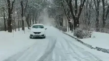 فیلم نمایی برفی و دلنشین از دانشگاه تبریز