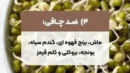 اثرات مفید چهار جوانه که نمی دانید