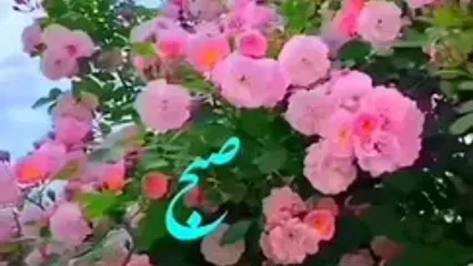 فال ابجد 2 اسفند