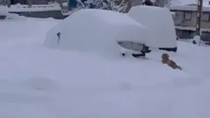 فیلم زمستان رویایی جواهرده زیر برف سنگین