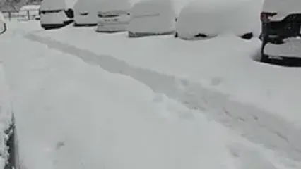 شهر تفریحی باتومی گرجستان پوشیده از برف شد