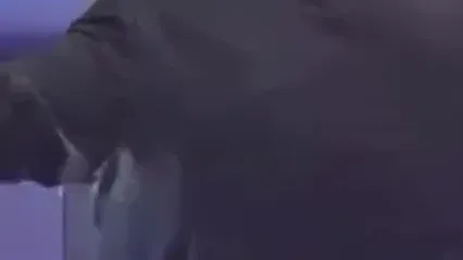 ببینید؛ رقص ترکی میرطاهر مظلومی در «صداتو» حذف شد