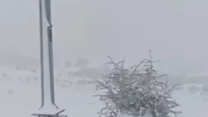 ببینید؛ این نقطه از ایران، لباس سفید به تن کرد
