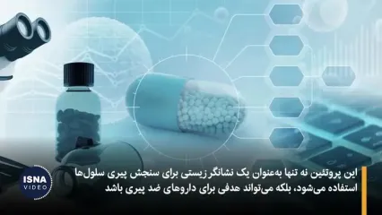 انقلابی در علم جوان‌سازی