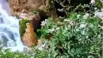 آبشار آب سفید لرستان در شهرستان الیگودرز
