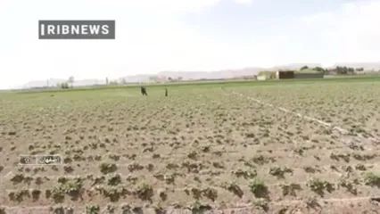 رسیدن آب زاینده رود به زمین های کشاورزی شرق اصفهان