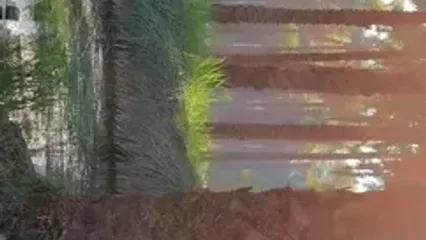 فیلم آرامش در شهر آب‌پخش دشتستان