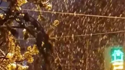 فیلم سفیدپوشی شهرستان کلیبر در آذربایجان شرقی با برف