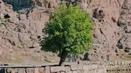 شکوه و عظمت بیستون را ببینید