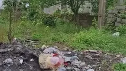 شمال ایران در حال خفه شدن؛ زباله تا گردن! / خطه شمالی در آستانه انفجار زیست‌محیطی/ وزارت بهداشت کجاست؟