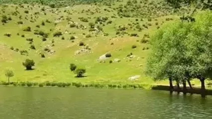 معرفی مکان / آبگیر قارقچال بالاده