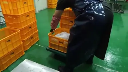 ببینید؛ نگاهی به تولید غذاهای سنتی با دانه سویا در یک کارخانه در کره جنوبی