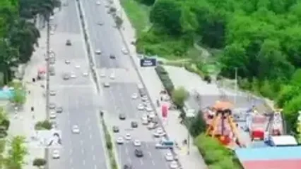 جنگل ناهارخوران رویایی گرگان